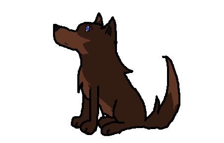 Pup 1.jpg