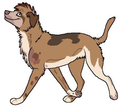 Foley.png
