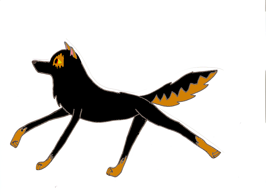 Picture 002.png