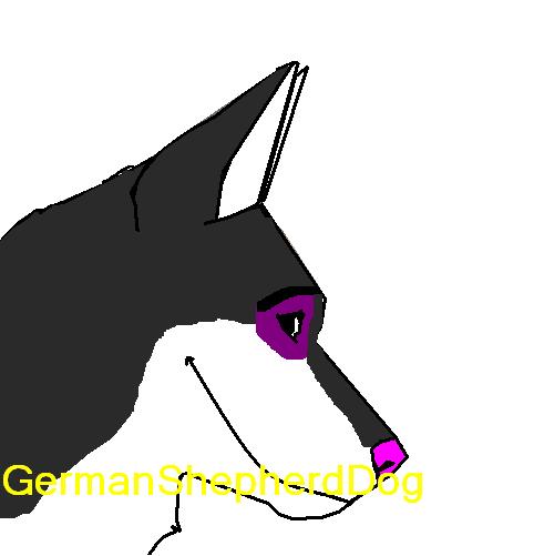 pata.jpg