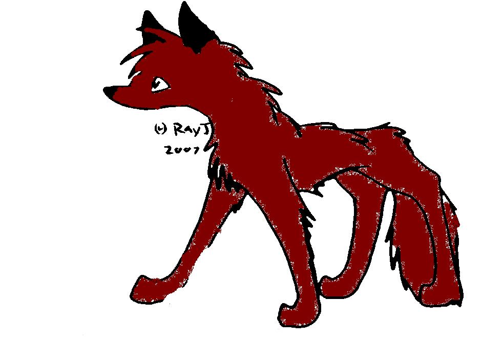roxy.JPG