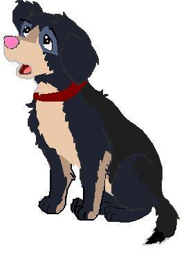 Puppy.jpg