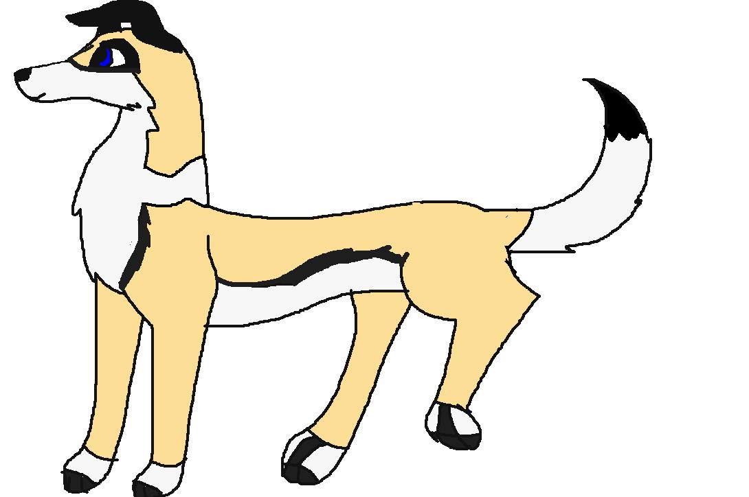 new char dog.JPG