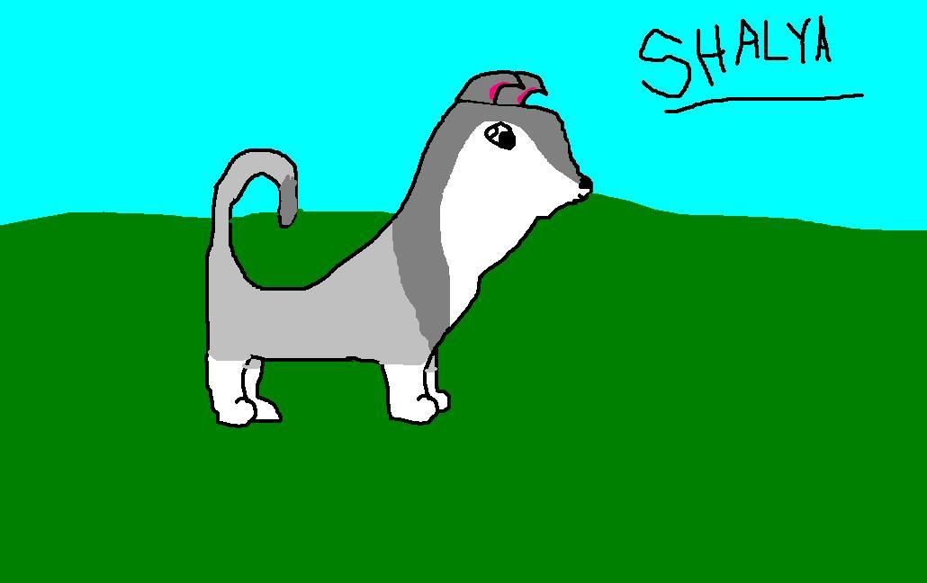 Shalya.JPG