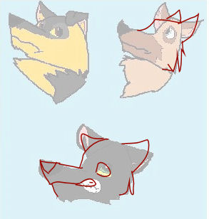 correction 3.jpg