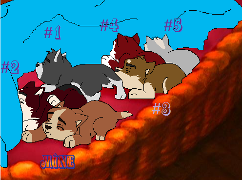 New Born Malamutes.png