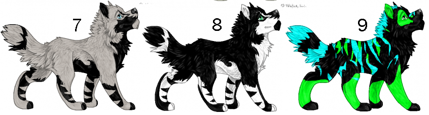 adopt.PNG
