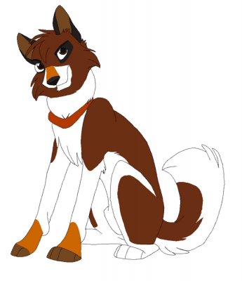 scansione0002a.png