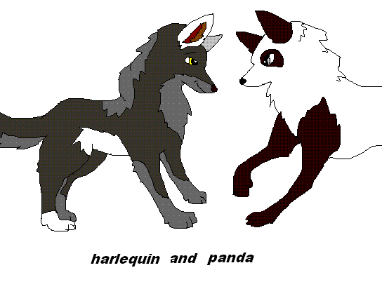 untitled.GIF