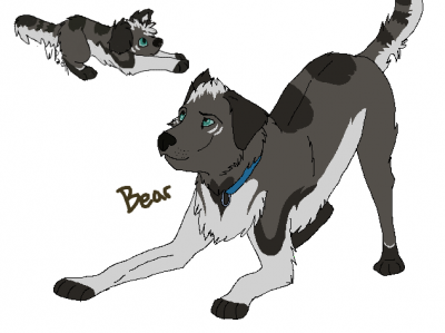 Bear.PNG