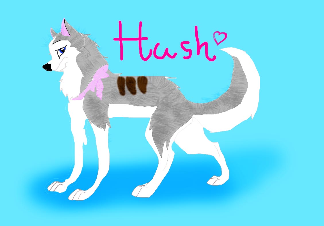 hush.jpg