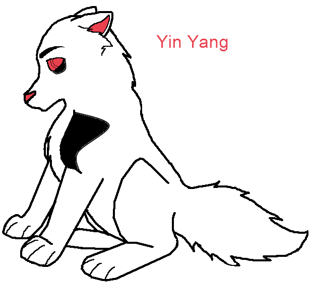 yin yang.png