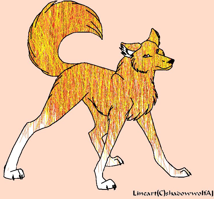 the orange one.PNG