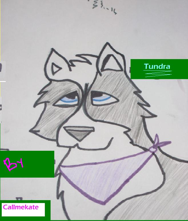 Tundraa.JPG