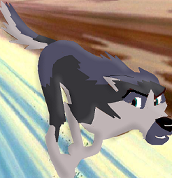 aiden.PNG