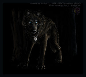 From_Shadow___BlackWolf_Gift_by_lenzamoon.jpg