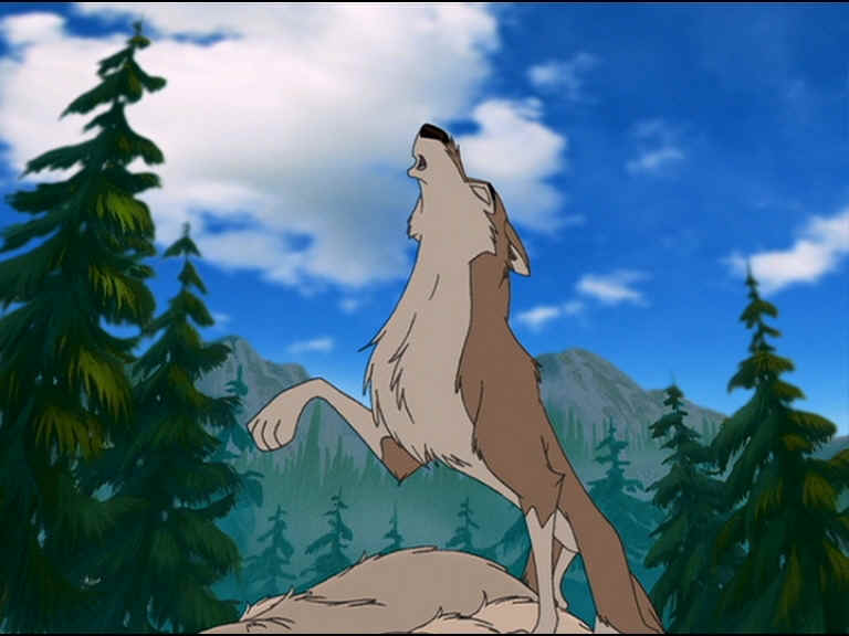 B2_Aleu_ulula_su_orsi[1].jpg