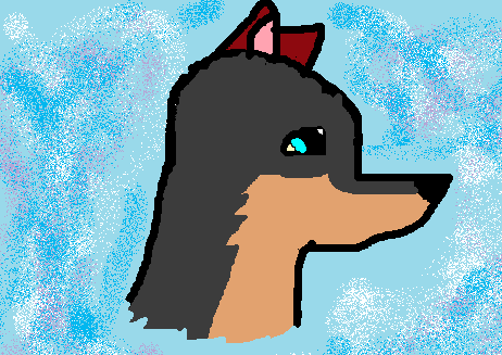 san.png