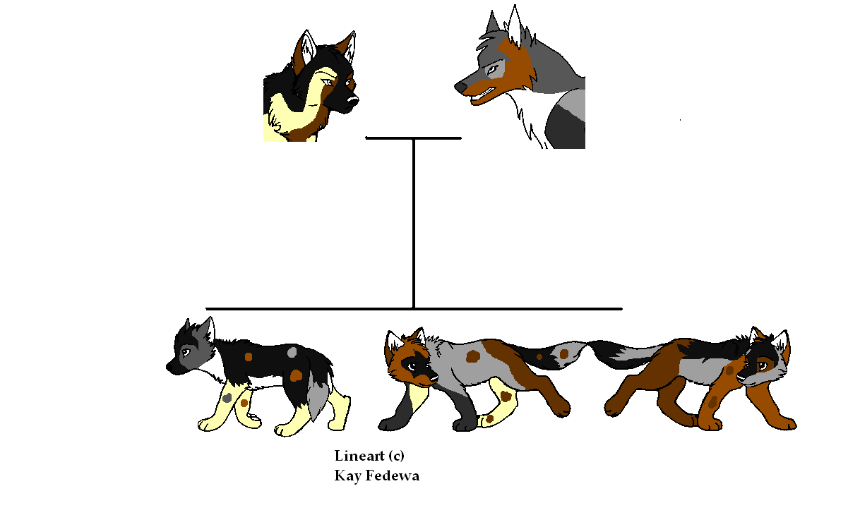 fsiw.PNG