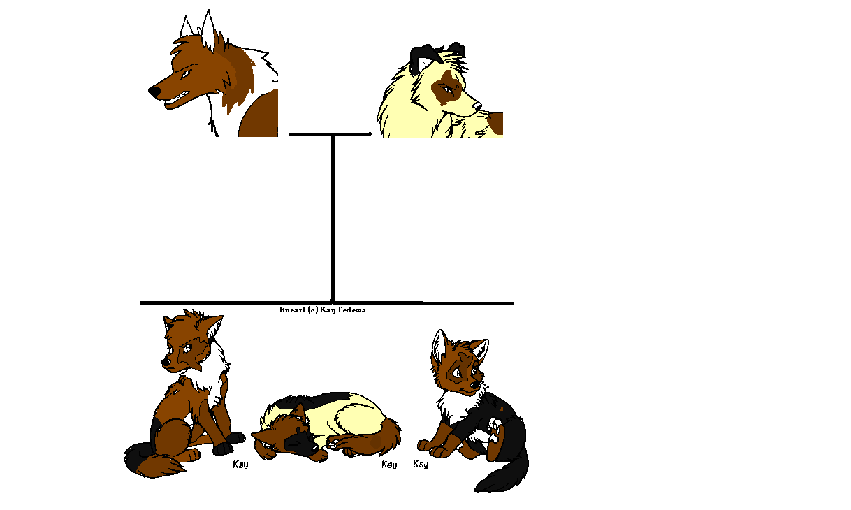 nbp2.PNG