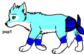 PUPs.PNG
