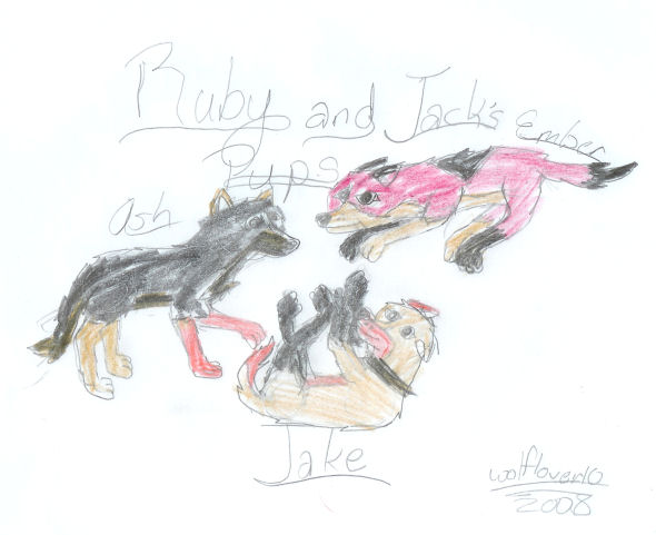 Ruby and Jack's Pups.jpg