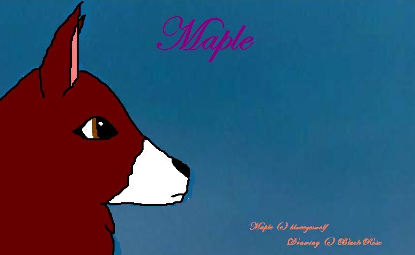 Background.jpg