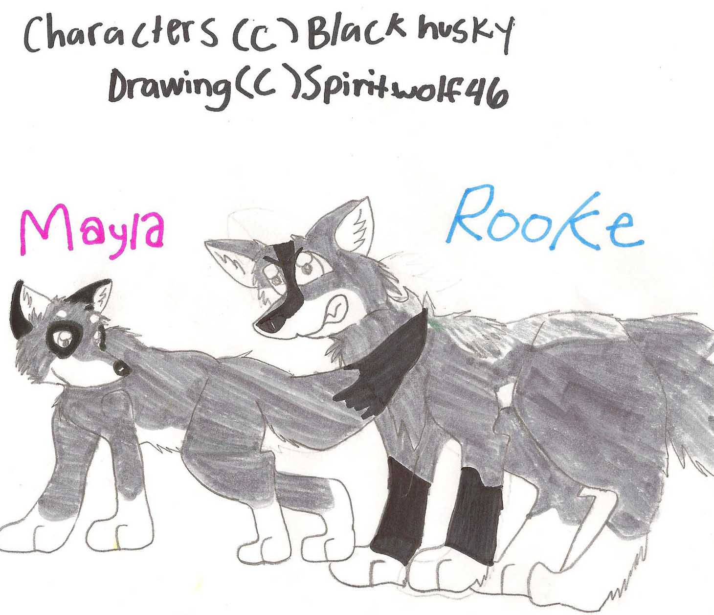 mayla and rooke.jpg
