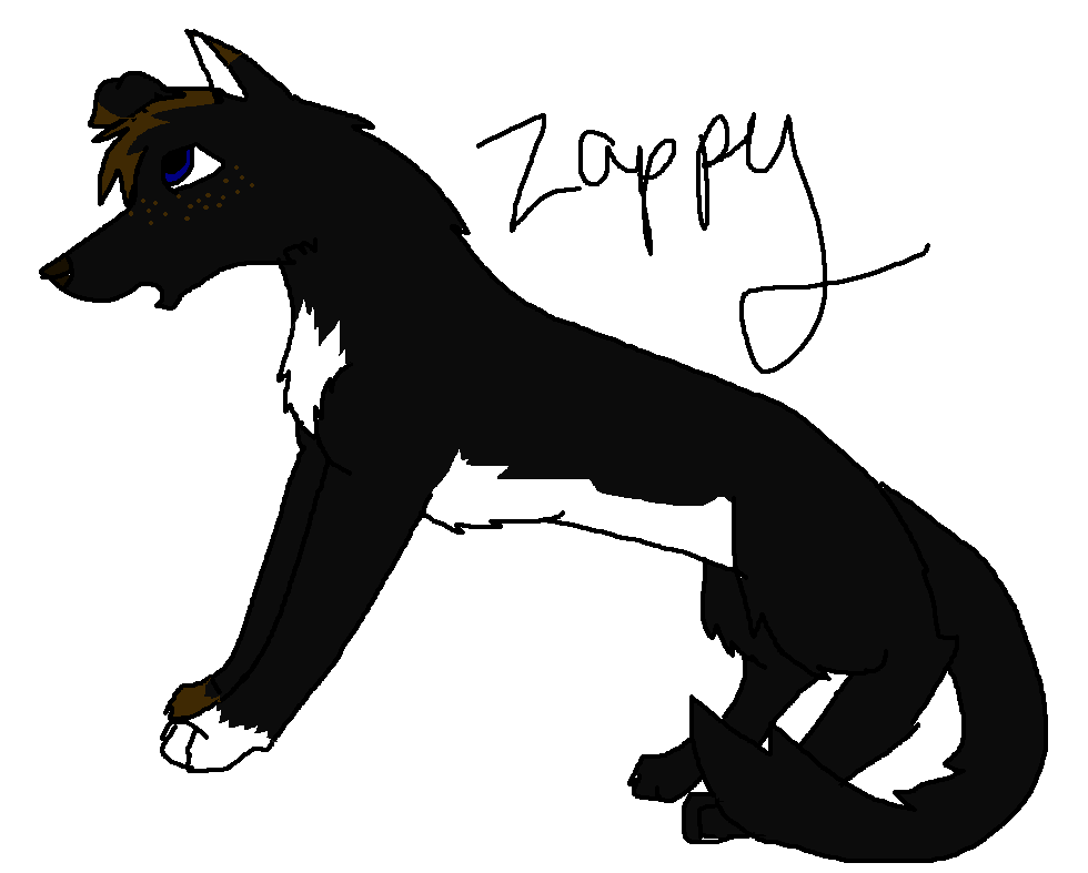 zappyness.PNG