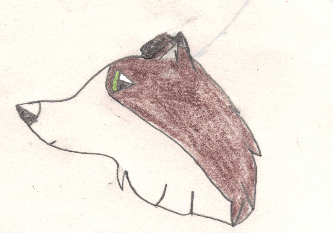 Image 25.jpg