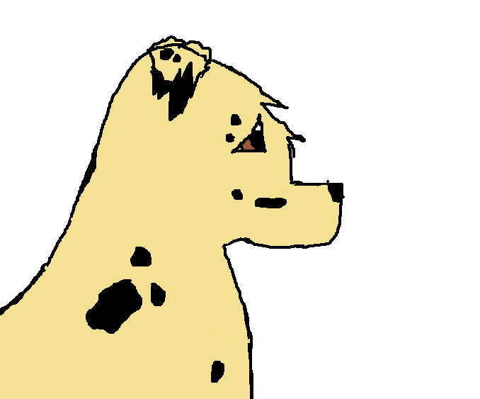 %0Abouncer.png