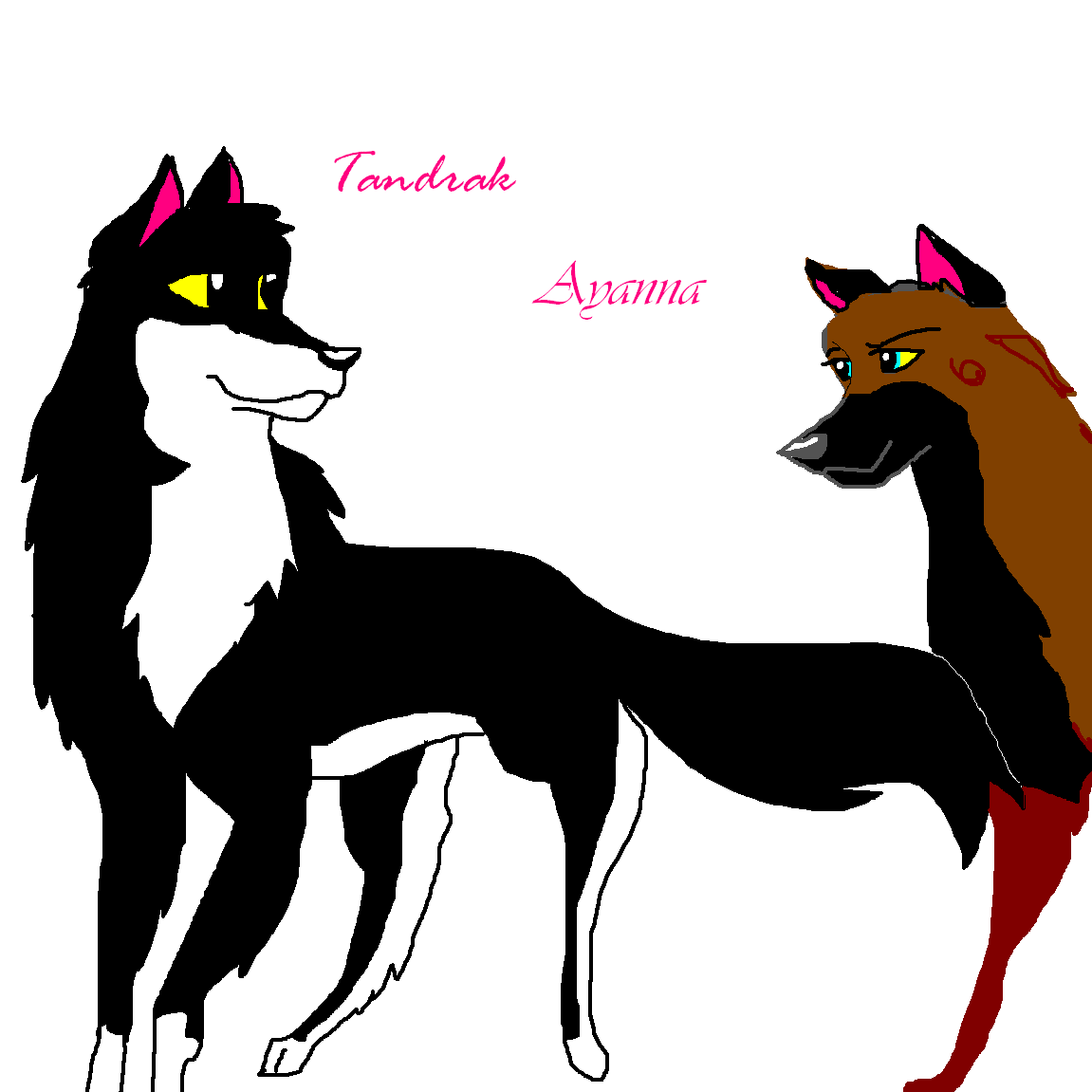 Tandrakandmate.PNG