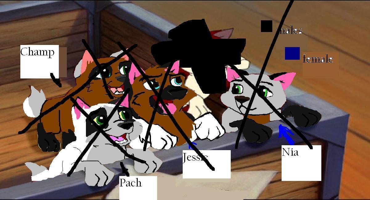 w5.JPG