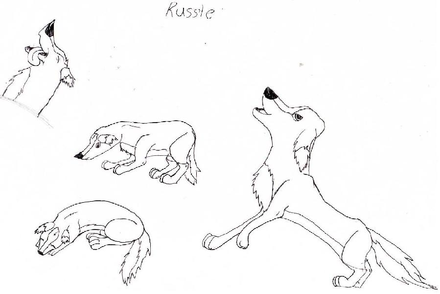 russle.jpg