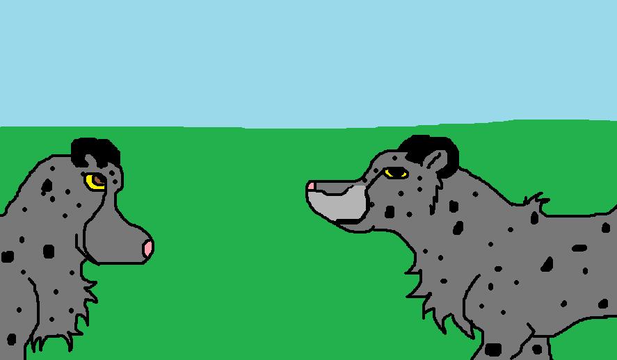 cheetah.jpg