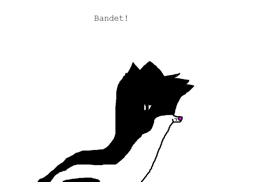 bandet.JPG