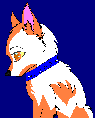 tanggy.PNG