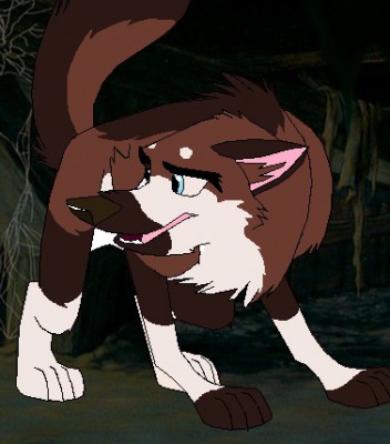 fffvgffvf.jpg