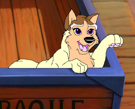 sagishipup.png