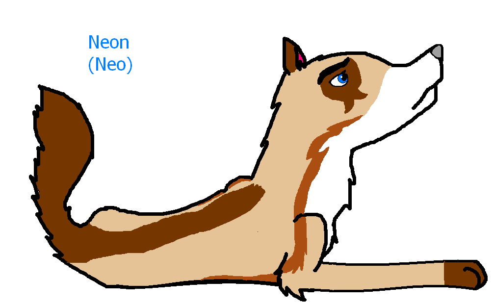 ca.PNG