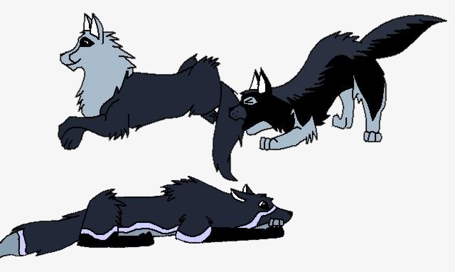 blue and rangers pups.jpg