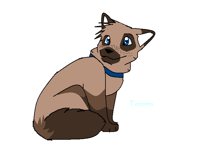 Pretty.PNG