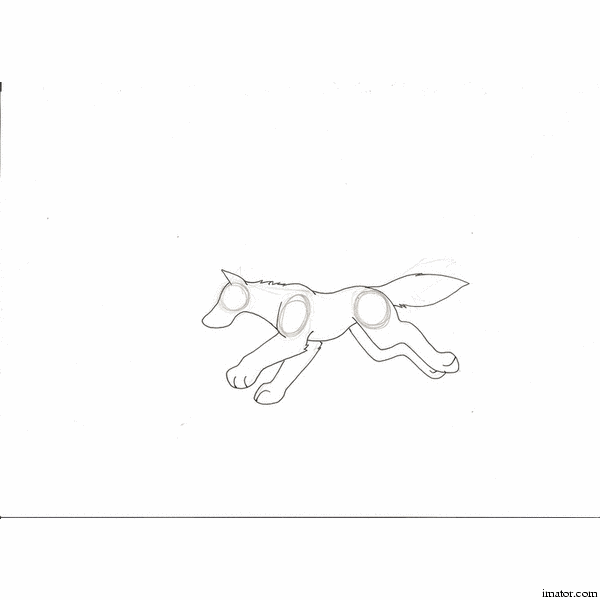 imator_animation.gif