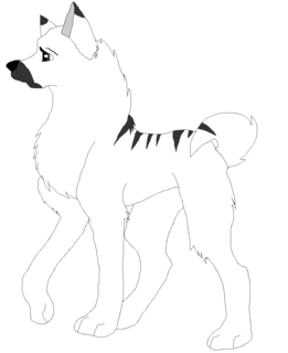 akia.png