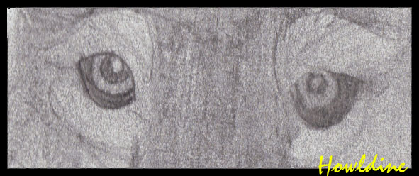 Look into my eyes copy.jpg