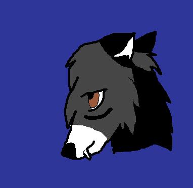 vamp woldf.jpg
