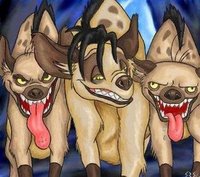 hyena.jpg