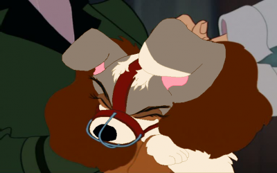 rinni.png
