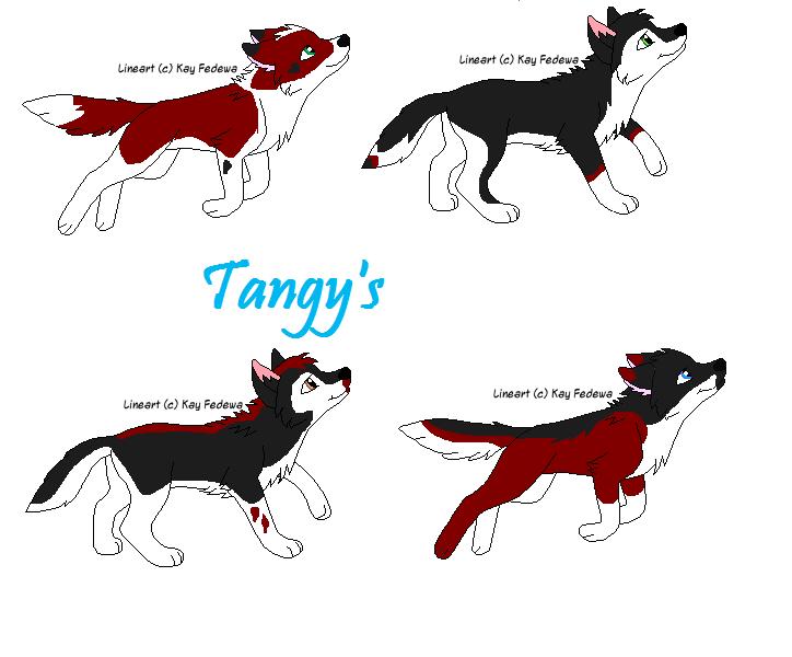 tangys2.jpg