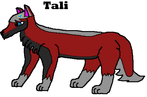 Tali---Sled-Dog.gif